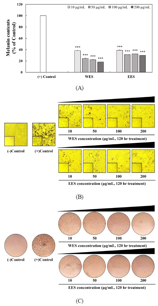 Fig. 2. Fig. 2.
