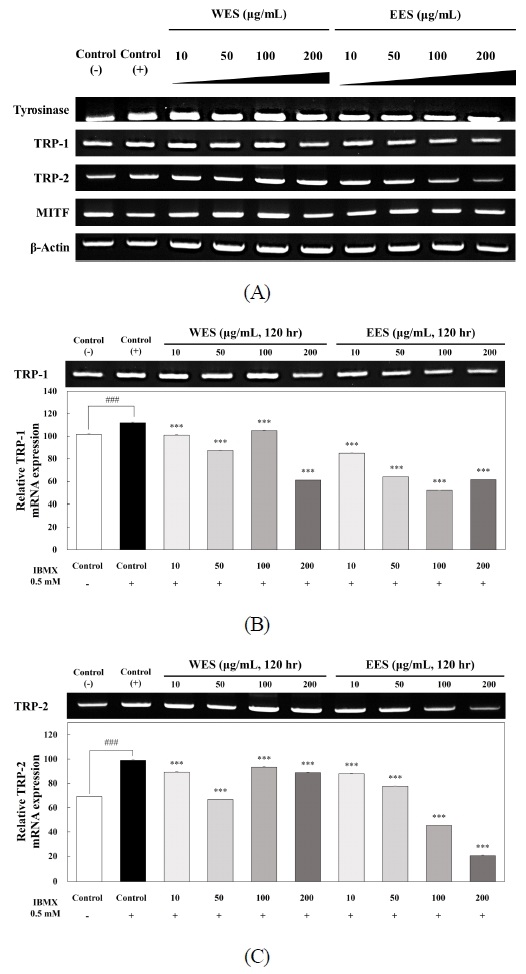 Fig. 3. Fig. 3.